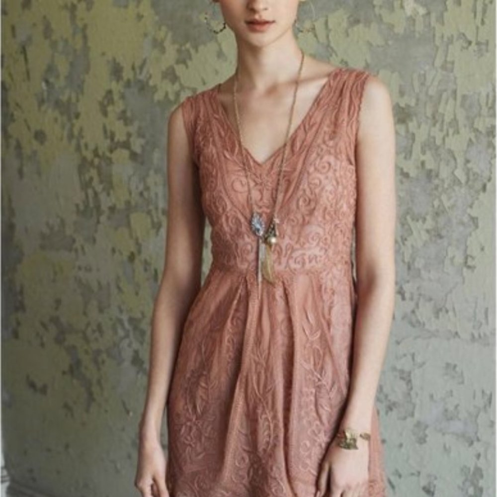 Rose Embroidered Dress with Slip - Anthropologie